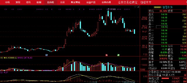 300081股票行情詳解，初學(xué)者與進(jìn)階用戶的操作指南