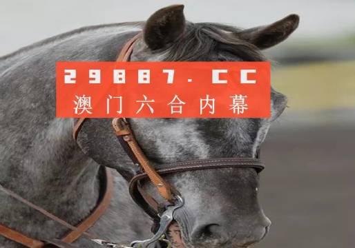 澳門一碼一特一中準(zhǔn)選今晚,穩(wěn)固執(zhí)行戰(zhàn)略分析_無限版23.850