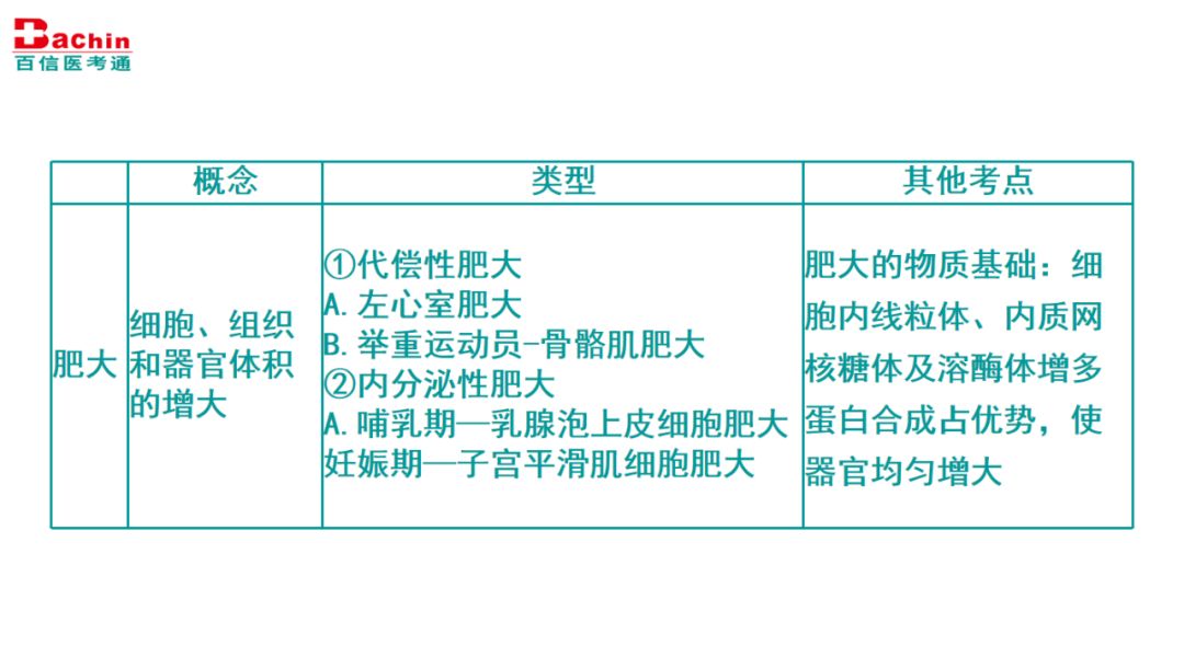 澳門一碼一肖一特一中直播結(jié)果,靈活執(zhí)行方案_專屬版46.767