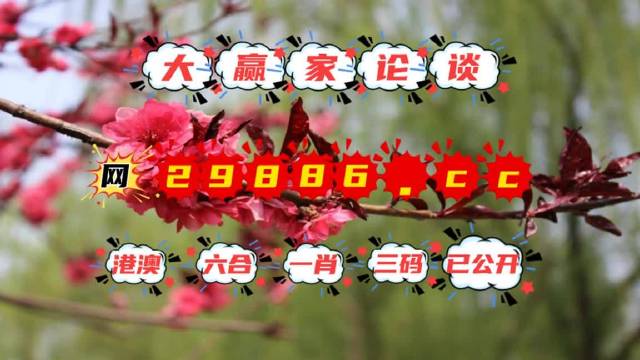 澳門一肖一碼一一子中特,全面信息解釋定義_交互式版62.324