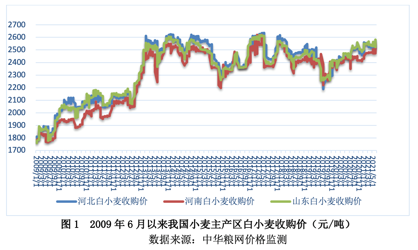 小麥行情走勢(shì)下的意外收獲與友情之舟，溫馨日常解析