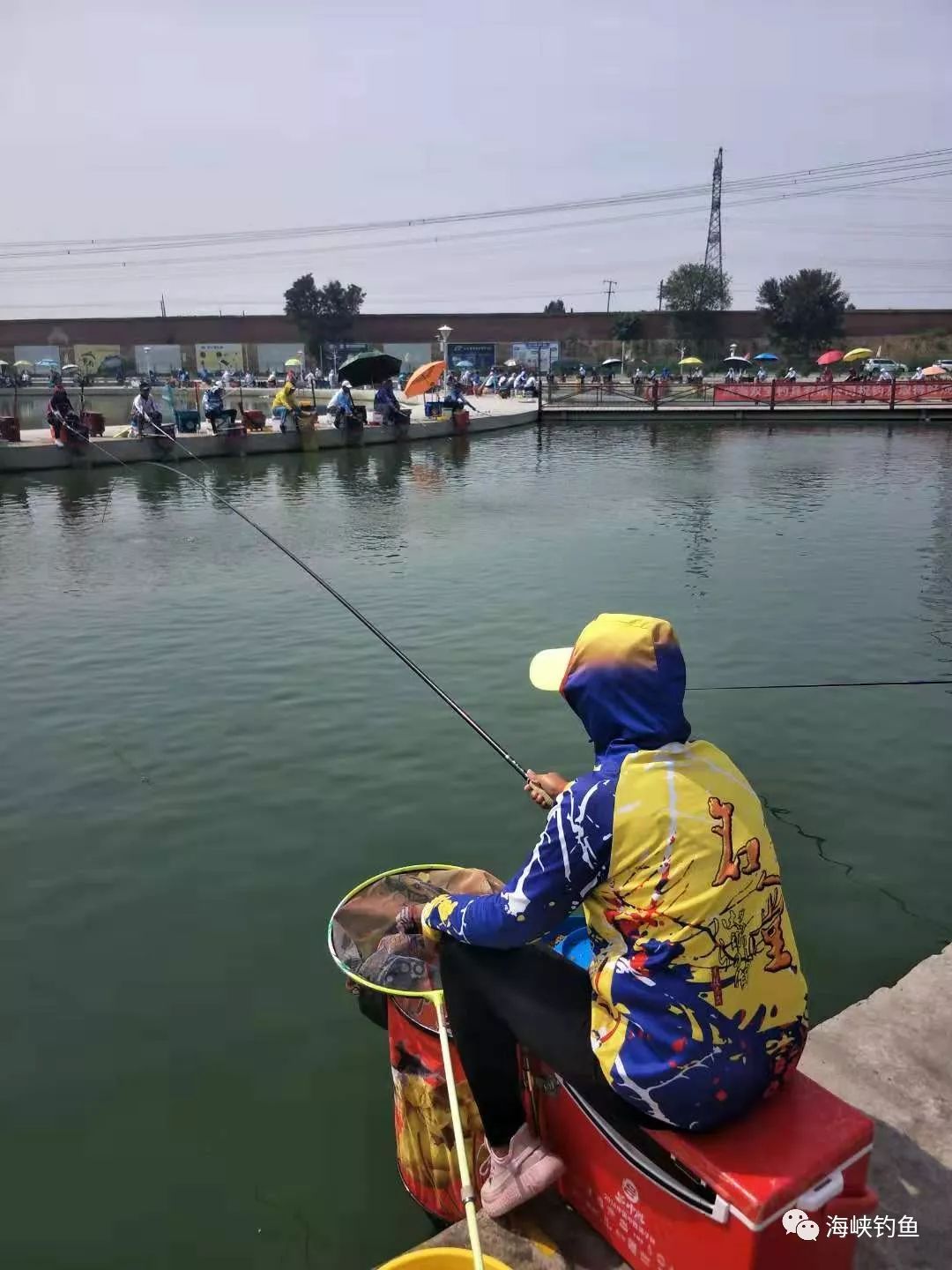 釣魚愛好者官網最新資訊綜述，多元觀點碰撞與個人立場探索